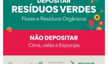 Cemitérios: valorização de flores naturais